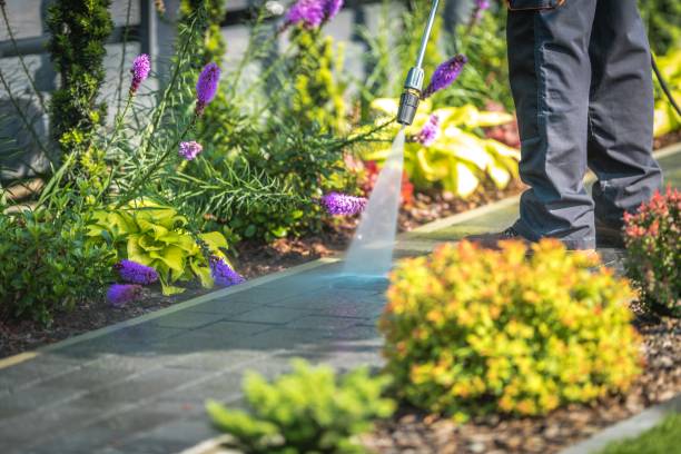 Best Dumpster Area Cleaning  in Linden, CA